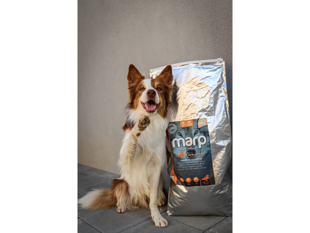 Marp Natural Farmland - kachní 12kg