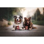 Marp Venison konzerva pro psy se zvěřinou 400g