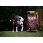 Marp Holistic Chicken - kuřecí bez obilovin 12kg