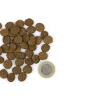 Marp Holistic Turkey S&L - krůtí senior&light bez obilovin vzorek 70g