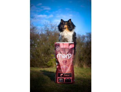 Marp Holistic Salmon - lososové bez obilovin 12kg