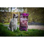 Marp Holistic Turkey S&L - krůtí senior&light bez obilovin 12kg