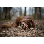 Marp Treats Buffalo Crunchies - sušená průdušnice 50g