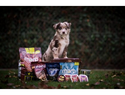 Štěněčí balíček s krmivem 1ks