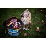 Štěněčí balíček s krmivem 1ks