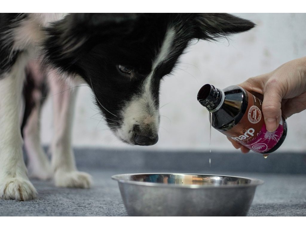 Marp Holistic - Ostropestřcový olej 250ml