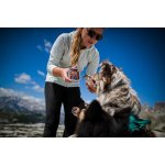 Marp Wild Boar vanička pro psy s divočákem 100g