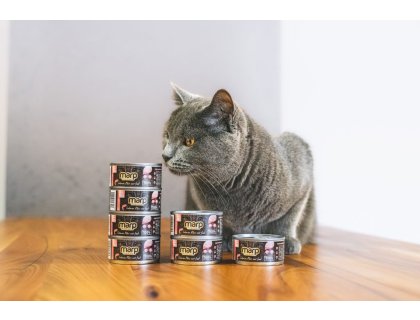 Marp Salmon Filet konzerva pro kočky s filety z lososa 12x70g