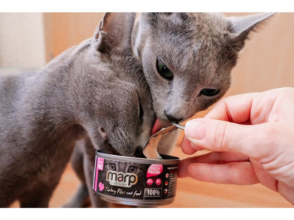 Marp Turkey Filet konzerva pro kočky s krůtími prsy 70g