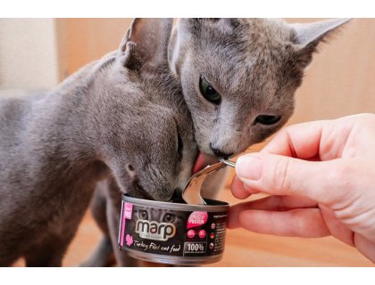 Marp Turkey Filet konzerva pro kočky s krůtími prsy 70g