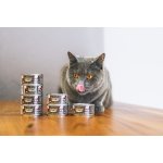 Marp Salmon Filet konzerva pro kočky s filety z lososa 70g