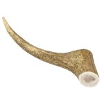 Marp Holistic - Jelení paroh, velikost XL (160 - 200g)