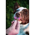 Marp Holistic – Lososové pamlsky se lněným semínkem bez obilovin 150g