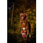 Marp Holistic – Kachní pamlsky s kelpou bez obilovin 150g