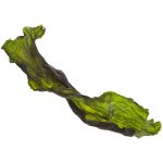 Marp Holistic - Kelpa 100g