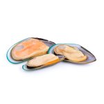 Marp Holistic - Novozélandská mušle 100g