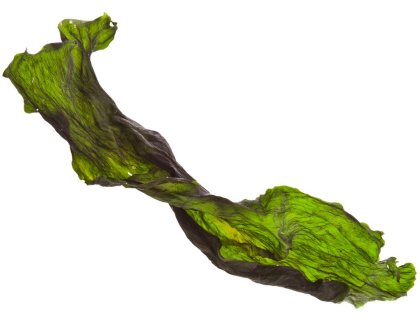 Marp Holistic - Kelpa 500g