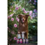 Marp Variety Single krůta konzerva pro psy 400g