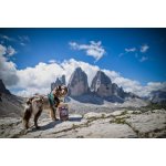 Marp Holistic White Mix - pamlsky pro psy 500g