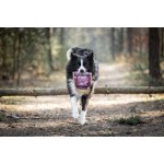 Marp Holistic Fish Mix - pamlsky pro psy 500g