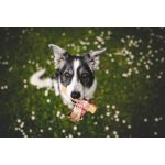 Marp Holistic - Horská tyčinka L (70 - 79g)