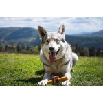 Marp Holistic - Horská tyčinka XL (110 - 119g)