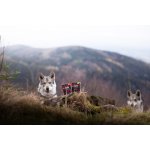 Marp Holistic krůta s kachnou tetrapak 375g