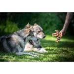 Marp Holistic - Horská tyčinka XL (110 - 119g)