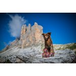 Marp Holistic krůta s kuřetem tetrapak 375g