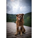 Marp Holistic - Horská tyčinka XL (110 - 119g)