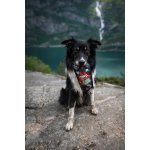 Marp vývar z divokého losa 230ml