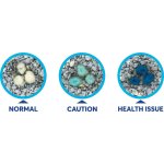 Intersand kočkolit Odourlock maxCare 12kg