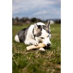 Marp Holistic - Kávové dřevo L (160 - 200g)