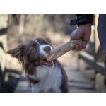 Marp Holistic - Kávové dřevo L (160 - 200g)