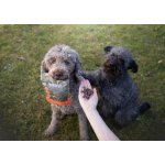 Marp Variety - kachní pamlsky pro psy 120g