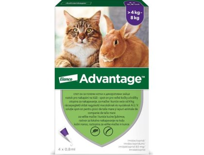 Advantage 80mg pro velké kočky a králíky, 4x 0,8ml roztok pro nakapání na kůži - spot-on, fialový