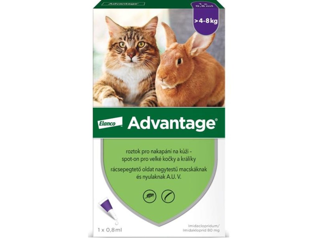 Advantage 80mg pro velké kočky a králíky, 1x 0,8ml roztok pro nakapání na kůži - spot-on, fialový