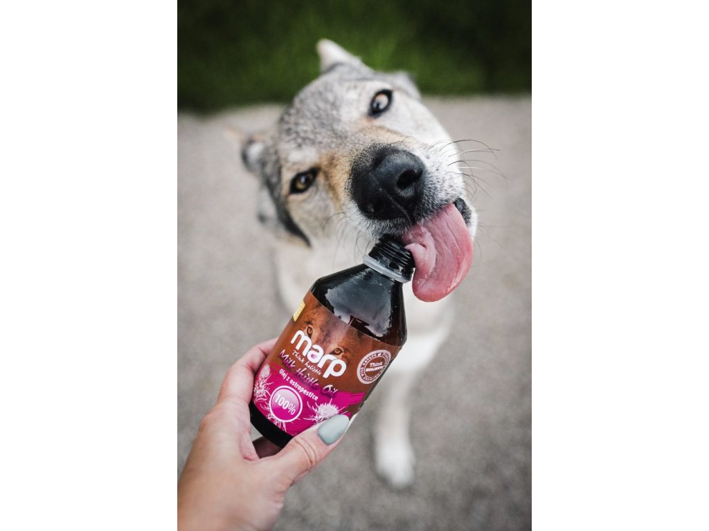 Marp Holistic - Ostropestřcový olej 500ml