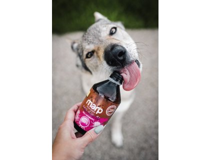 Marp Holistic - Ostropestřcový olej 500ml