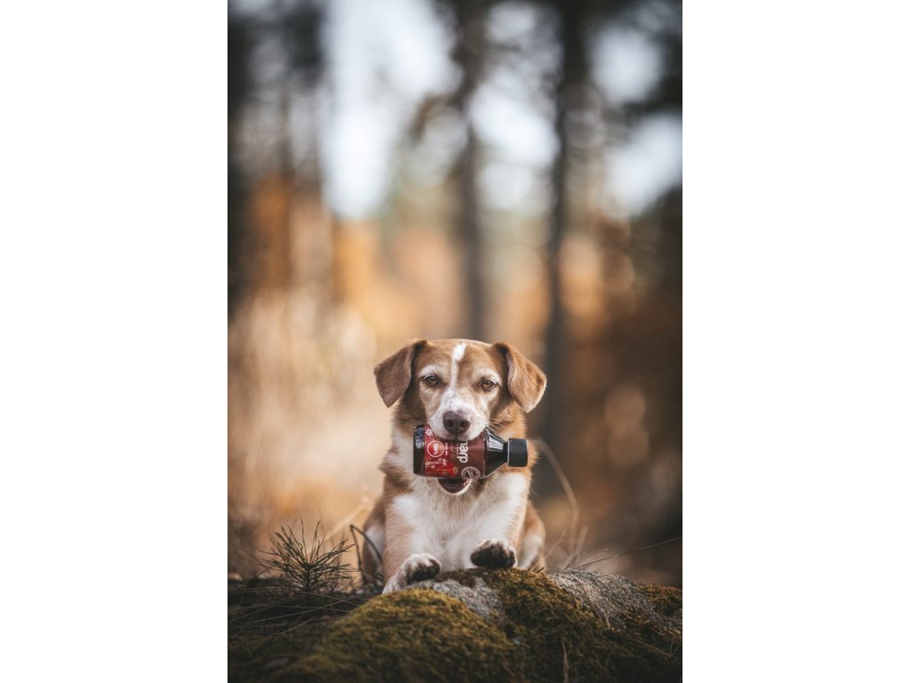 Marp Holistic - Lněný olej 250ml