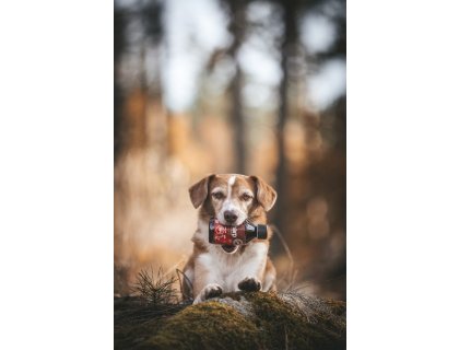 Marp Holistic - Lněný olej 250ml