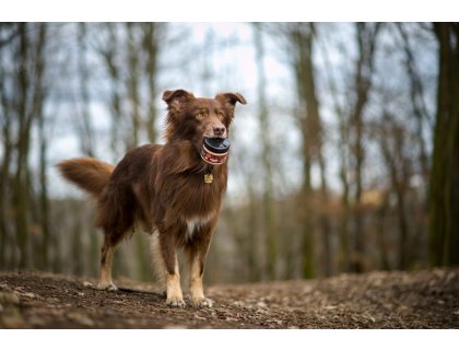 Marp Holistic - Pivovarské kvasnice 100g