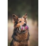 Marp Variety Single krůta konzerva pro psy 400g