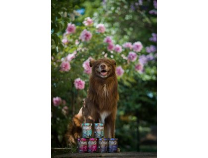 Marp Variety Single krůta konzerva pro psy 6x400g