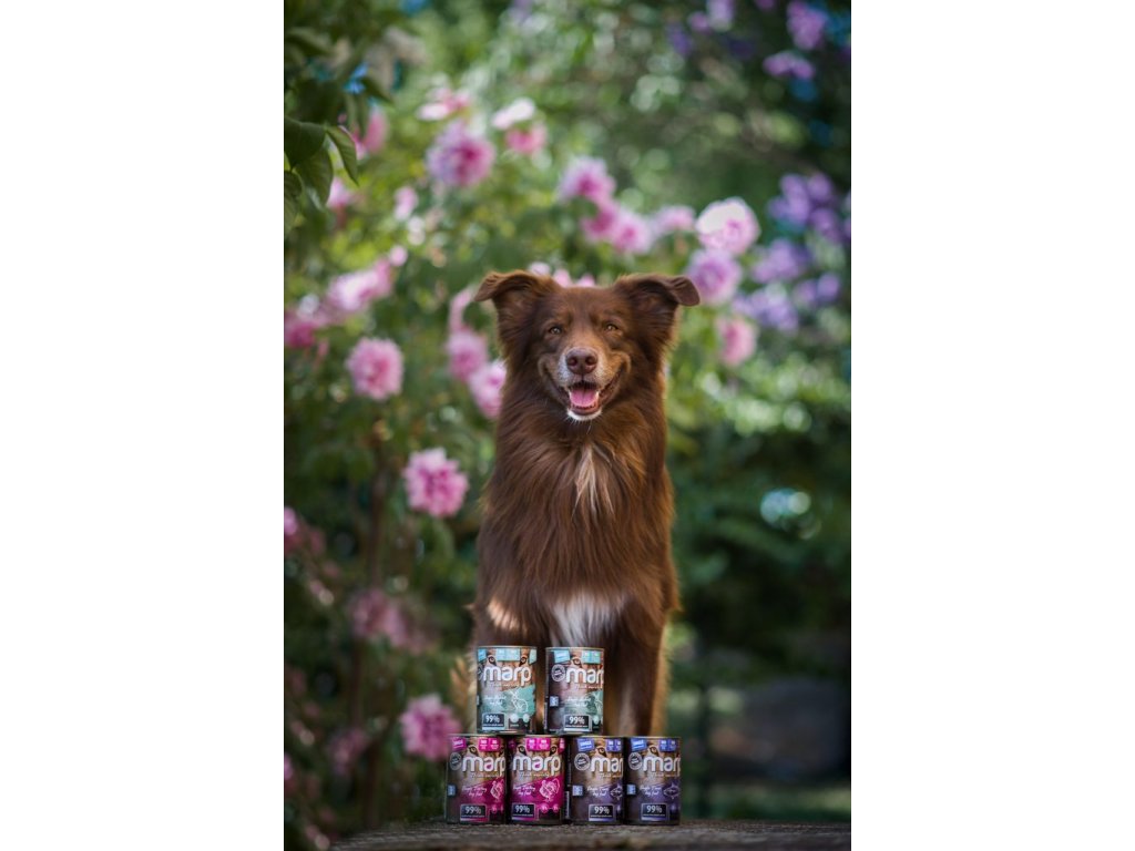 Marp Variety Single králík konzerva pro psy 6x400g