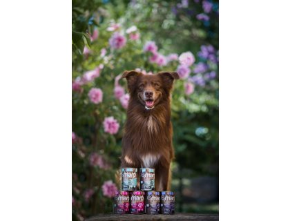 Marp Variety Single králík konzerva pro psy 6x400g