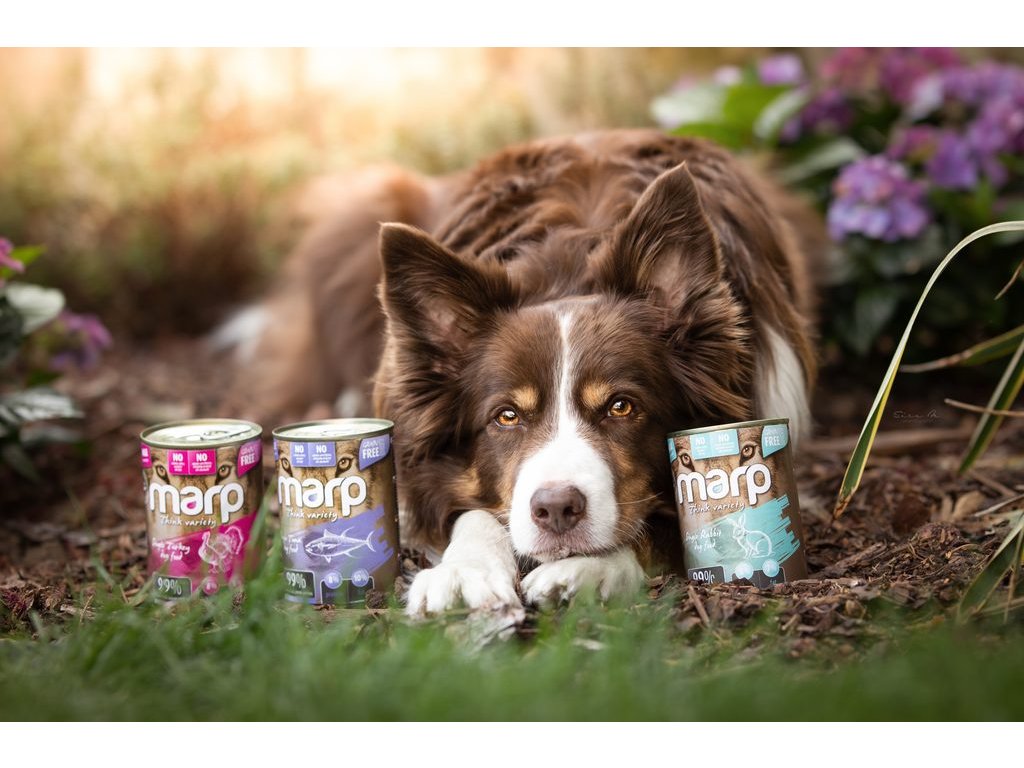 Marp Variety Single tuňák konzerva pro psy 6x400g