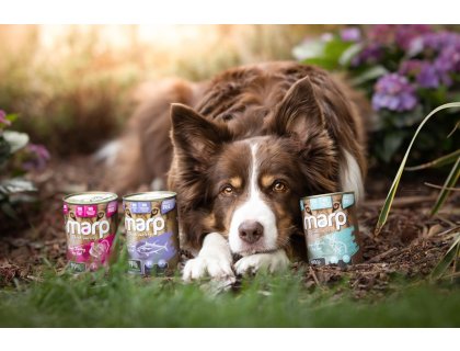 Marp Variety Single tuňák konzerva pro psy 6x400g