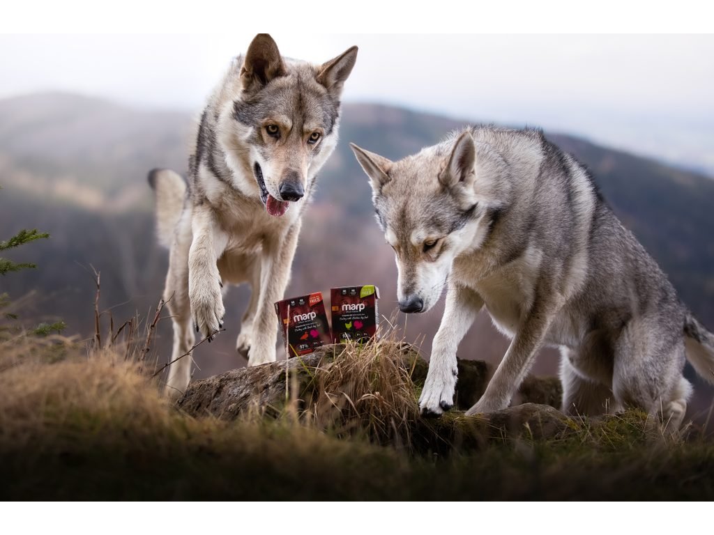 Marp Holistic krůta s kachnou tetrapak 375g