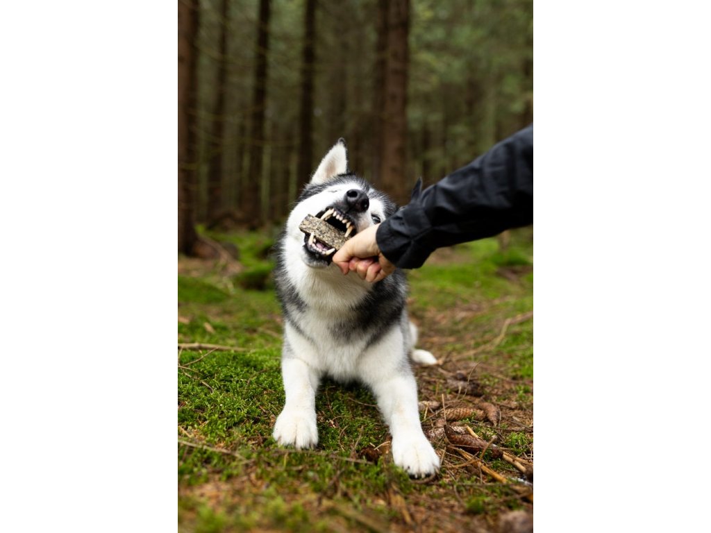 Marp Holistic tyčinka z tresčí kůže